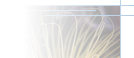 Blank Image