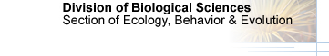 Division of Biological Sciences, Section of Ecology, Behavior and Evolution