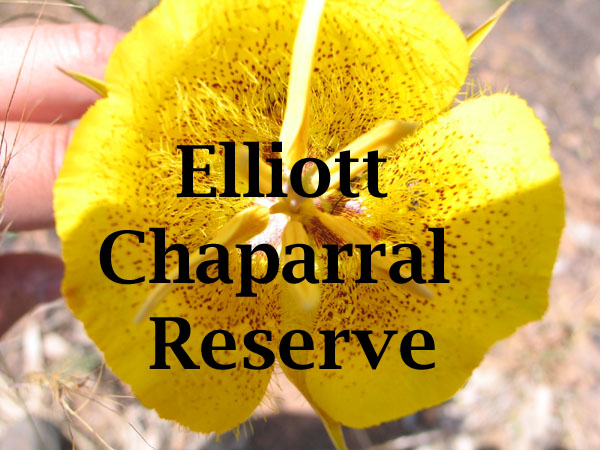 Elliott Chaparral Reserve
