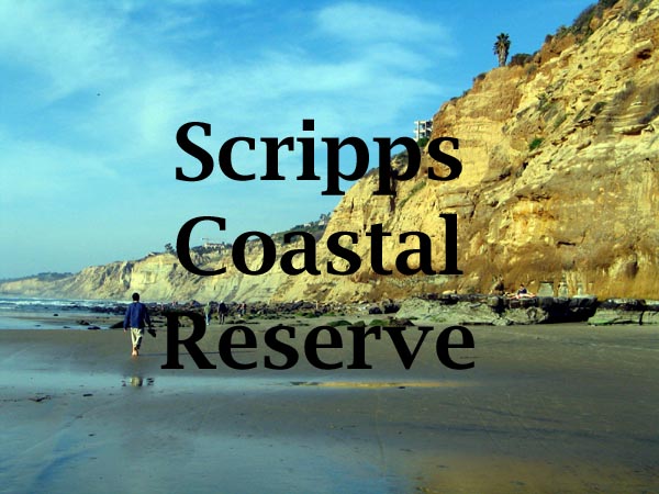 Scripps Coastal Reserve