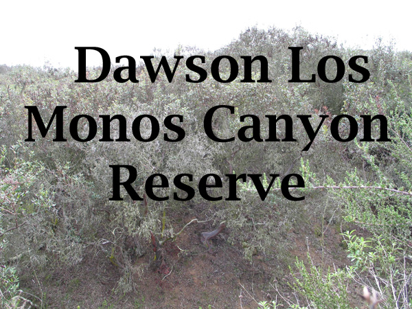 Dawson Los Monos Canyon Reserve