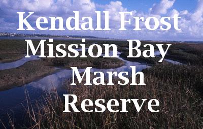 Kendall Frost Mission Bay Marsh Reserve