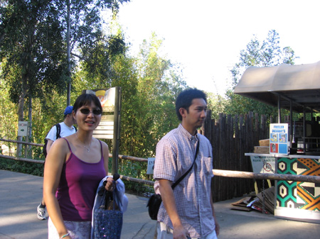 04 - Art and Corine