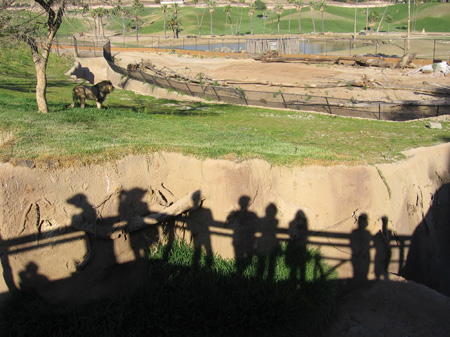 09 - Us and some others