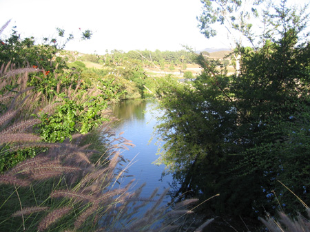 11 - H2O