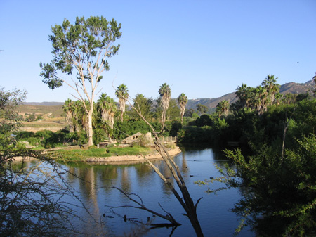 12 - Pond