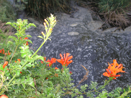 14 - Sludge down below