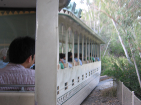 18 - Riding the train