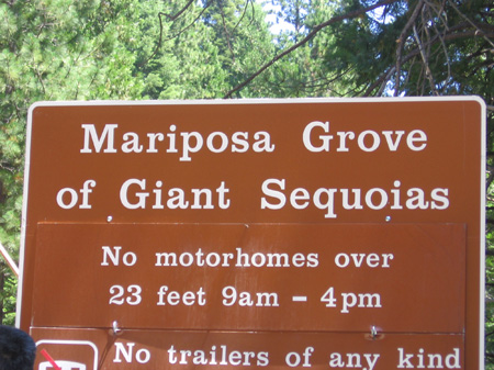01-Mariposa Grove