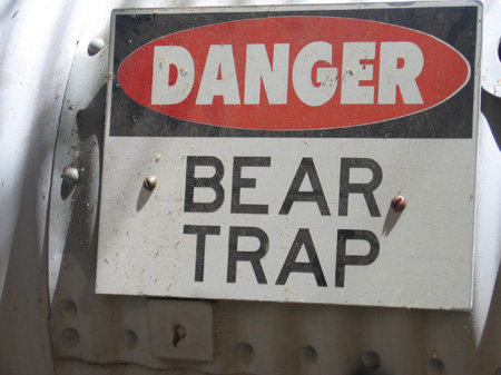 100- danger bears!